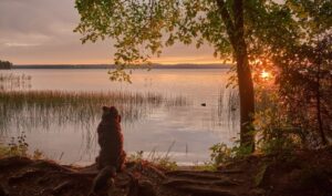 Новгородская область - вид на озеро Валдай