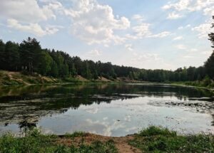 Вид на озеро в парке