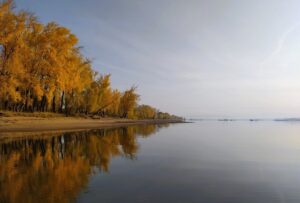 Набережные Челны - природа