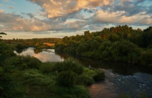 Река в Тверской области