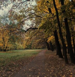 Дорожки в Знаменской роще