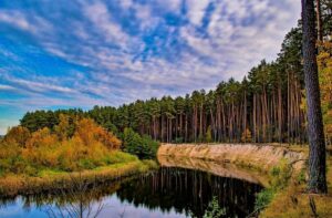 Река в России