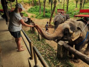 PHUKET GET TRIP на Пхукете