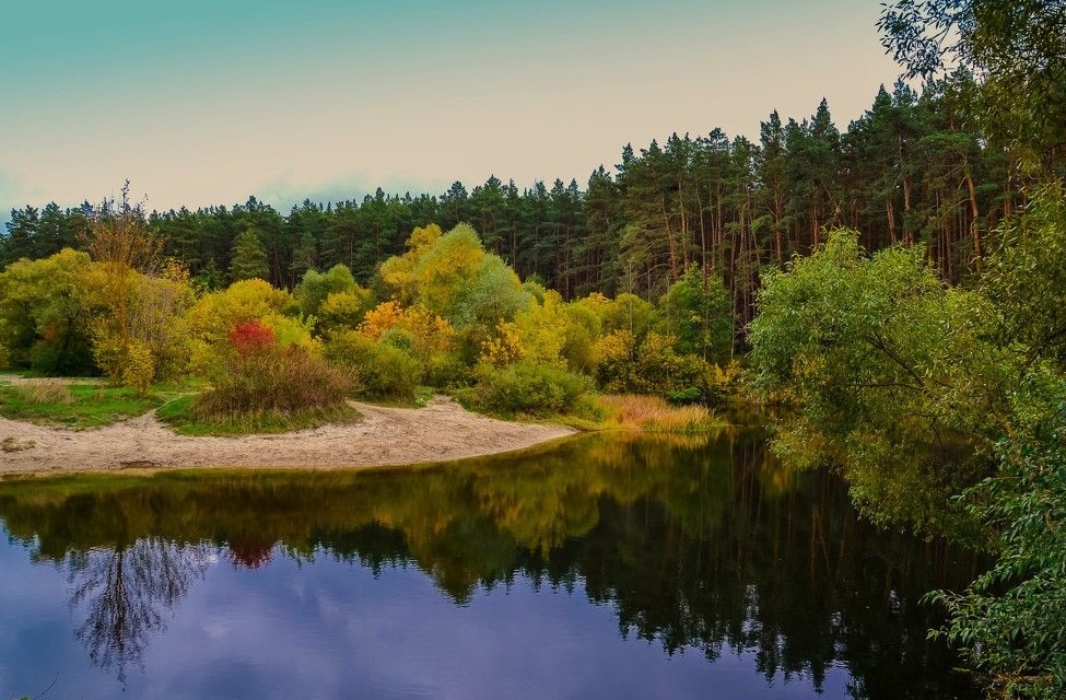 Природа Курска