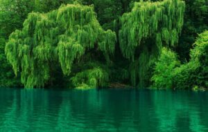 Кабардино-Балкария
